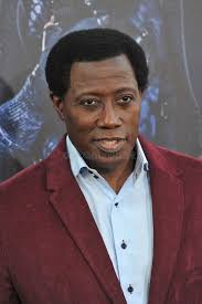 1,351 Wesley Stock Photos