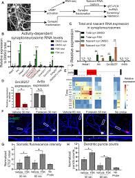 Get your team aligned with. Cmmu3qxb3chtdm