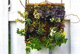 Choose your favorite cactus designs and purchase them as wall art, home decor, phone cases, tote bags, and more! Easy Succulent Garden Planter Planting Project Be Brave And Bloom