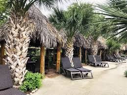 Maybe you would like to learn more about one of these? 11 Schlitterbahn Tips That Save Money And Maximize Fun New Braunfels Tx