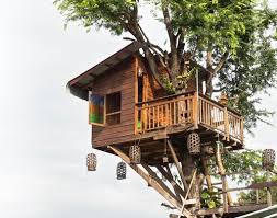 Check spelling or type a new query. Cost To Build A Treehouse Treehouse Prices