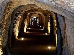 Desde Málaga: Guiada al Caminito del Rey y Alora pueblo blanco con  degustación tapas