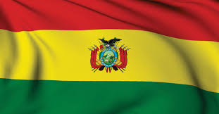 Guardado por la cabeza de sergo. Bolivia Planea Exportar Energia A Brasil Peru Y Otros Paises Power Engineering International