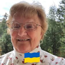 What are some local yarn shops around Asheville?