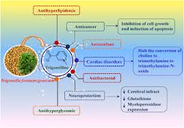 Image result for Trigonella foenum-graecum