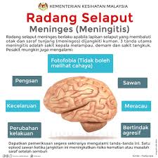 Kuman atau bakteri ini adalah organisme bersel satu yang hanya bisa kita lihat dengan cacing merupakan parasit. Penyakit Meningitis Keradangan Selaput Otak Tips Kesihatan