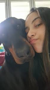 Hello friends and neighbours! 🐾 We're planning a holiday from around the  10th of August to the 3rd of September and are looking for a trustworthy  dog lover to take care of