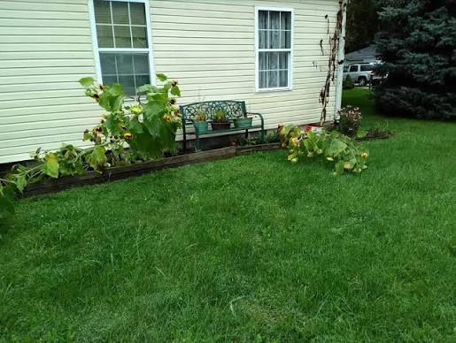 💔😢 Morning tr&alpha;gedy. A 54-year-old woman l&sigma;st her life in her vegetable garden after being&hellip;See more👇