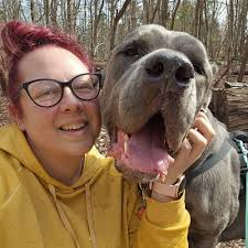 My 90-pound dog might need hip replacement surgery. Wondering if anyone  here has experience with this and might be able to share some insight?  Surgery and recovery process, cost, anywhere that might