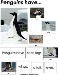 Birds That Look Like Penguins But Can Fly Penguin Activities For Preschool And Kindergarten Kidssoup Penguins Polar Animals Penguins Polar Bears