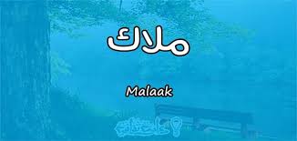 الموضوع فيه مدرستين، مدرسة مش حندخلهم. Ù…Ø¹Ù†Ù‰ Ø§Ø³Ù… Ù…Ù„Ø§Ùƒ Malaak Ø­Ø³Ø¨ Ø¹Ù„Ù… Ø§Ù„Ù†ÙØ³ Ù…Ù‚Ø§Ù„