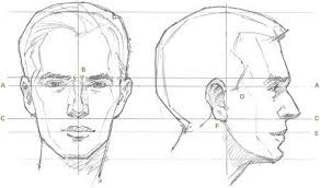 Drawing The Human Head Paul Leveille Artistsnetwork Com Drawing The Human Head Drawing People Drawings