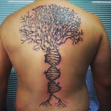 Family Tree Tattoos For Men Tree Tattoo Men Tree Tattoo Back Tattoos For Guys