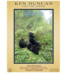 3d puzzles for adults australia. Ken Duncan The Worlds Most Beautiful Jigsaw Puzzle 1000 Pieces Gorillas In The Mist