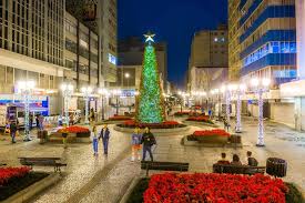 E em sua natureza, muitas flores. Linha De Especial De Natal Comeca A Circular Nesta Terca Feira 3 Em Curitiba Natal Curitiba 2019 G1