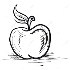 Search more high quality free transparent png images on pngkey.com and share it with your. Gambar Sketsa Vektor Apel Atau Ilustrasi Warna Sketsa Makanan Alam Png Dan Vektor Dengan Latar Belakang Transparan Untuk Unduh Gratis