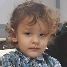 Butcher shops with chicken feet in Pittsburgh area?