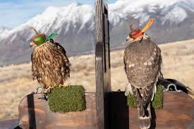 Profile for Utah Merlin Meet