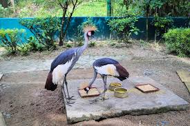 Start your review of kl bird park. Kl Bird Park Visitor S Guide Review What To Expect