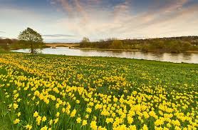 Lilik Wijayawati Analysis On Poem Daffodils By William Wordsworth 1770 1850