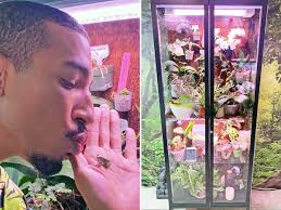 People are turning a $200 Ikea cabinet into DIY greenhouses for indoor  plants, and a man with 40 plants showed us his genius hack