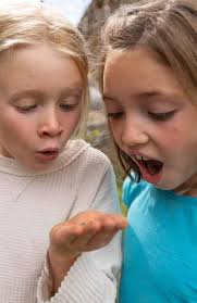 2021-2022 VMS Magazine by VMS Communications