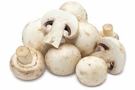 Bispora began in june 2011. Agaricus Bispora Button Mushroom 1 Veg And More Fruit And Veg