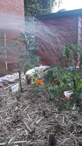 Phillip bosen of the burlington sunrise rotary and mary eddy stewart of the united church of hinesburg, vt, talk about the little free pantry in hinesburg, v. Ascot Vale Little Free Pantry 78 St Leonards Rd Ascot Vale 2021