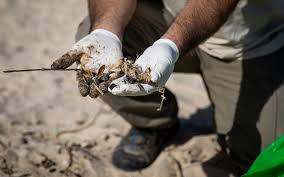 Israel is reeling from a disastrous tar slick, while oily sand has been found in southern lebanon. Israel Bans Sale Of All Seafood From Mediterranean After Massive Oil Spill The Times Of Israel