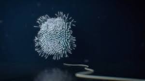 Alice weidel, 38, may have had no hope of beating mrs merkel, but she has helped to put the migrant crisis at the heart of the election debate. Client Fantoche Ch Production Elefant Studios Ch Producing Sarah Bossard Elefant Studios Director Patrick Graf Elefant Stud Art Studios Art Direction