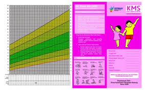 Adalah kartu yang digunakan untuk mencatat dan memantau pertumbuhan anak dalam pola asuh tumbuh kembang balita yang dapat diketahui dengan menilai perkembangan berat badan anak yang bersangkutan. Kartu Menuju Sehat Kms Balita Kms Balita Pere
