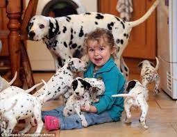 Puppy Love Best Dogs For Kids Dogs And Kids Dalmatian Puppies For Sale