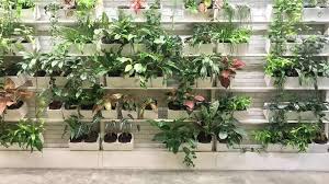 The vertical garden is made up of six vertical planters. How To Grow An Indoor Vertical Garden Indoor Gardening