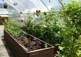 Price and stock could change after publish date, and we may make money from these links. Backyard Greenhouses For Every Budget Home Garden And Homestead