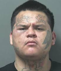 Deputies: Convicted felon in possession of firearm arrested