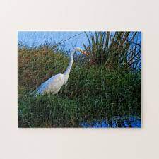 Finder is committed to editorial independence. White Egret Jigsaw Puzzle Zazzle Com Jigsaw Puzzles White Egret Beautiful Images Nature