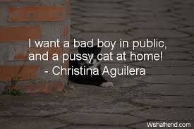 Bad boys ii fulfills this expectation and then some. Christina Aguilera Quote I Want A Bad Boy In Public And A Pussy Cat At Home