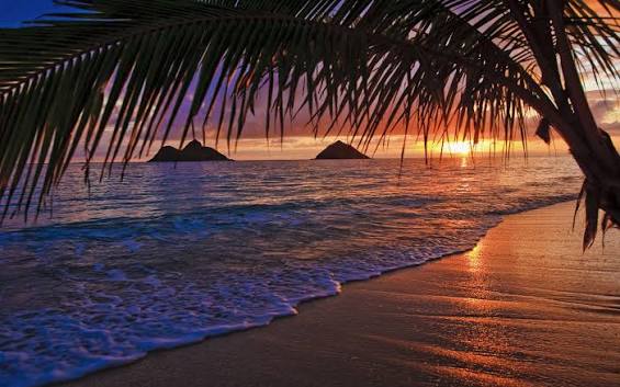 Best USA Beaches Map // World Beach Guide