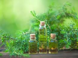 Click here to install malayalam font. How To Get Rid Of Acne Scars à´® à´–à´• à´• à´° à´µ à´¨ à´± à´ª à´Ÿ à´•àµ¾ à´…à´•à´± à´± àµ» à´ˆ à´µ à´¦ à´¯à´•àµ¾ à´‡à´¨ à´¯ à´‰à´ªà´¯ à´— à´š à´š à´¨ à´• à´• à´¯ à´Ÿ à´Ÿ à´² à´² Natural Ways To Remove Pimple Marks And Acne Scars Fast Samayam Malayalam