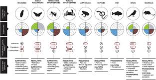 Pest control technicians are well known for using environment friendly chemicals to kill the pests and eliminate them from your there are different ways, our pets can exposed to these chemicals and here are some side effects of sprays your pets could face An Update Of The Worldwide Integrated Assessment Wia On Systemic Insecticides Part 2 Impacts On Organisms And Ecosystems Springerlink
