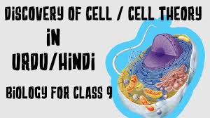 Maybe you would like to learn more about one of these? Biology In Urdu Hindi Discovery Of Cell Cell Theory Class 9 Youtube