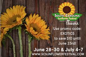 Chick Fil A Clemson On Twitter Looking For Something New And Exciting To Do With Your Family Get Tickets To The South Carolina Sunflower Festival At Https T Co Jyuqvtoqax Plan Ahead And Save By Using The