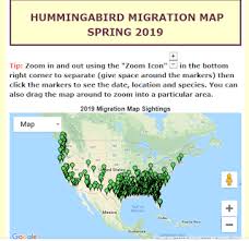 Spring 2019 Hummingbird Migration