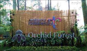 Orchid Forest Cikole Destinasi Wisata Alam Paling Instagramable Di Bandung Anggrek Hutan Alam