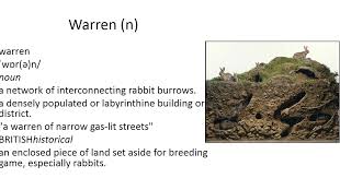 Warren Vocabulary Flash Cards Vocabulary Cards Warren