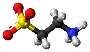 Taurine - Simple English Wikipedia, the free encyclopedia