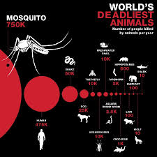 Professional pest control proper pest control could be used to remove various menacing pests, including termites, roaches, mosquitoes, flies, ants, as well as other rodents. Mosquito Control And Prevention
