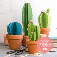 Behold, the cat scratch cactus! Video Tutorial New Frosted Paper Mini Cacti Kit Lia Griffith