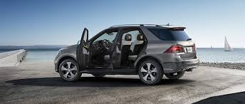 Image result for Selenite Gray 2017 G