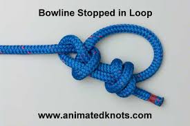The double overhand knot is simply an extension of the regular overhand knot, made with one additional pass. Double Overhand Stopper How To Tie A Double Overhand Stopper Using Step By Step Animations Animated Knots By Grog